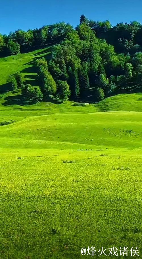 青青草原在线破解vip免费观看