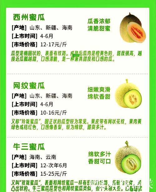 如何正确使用吃瓜网官网获取最新资讯